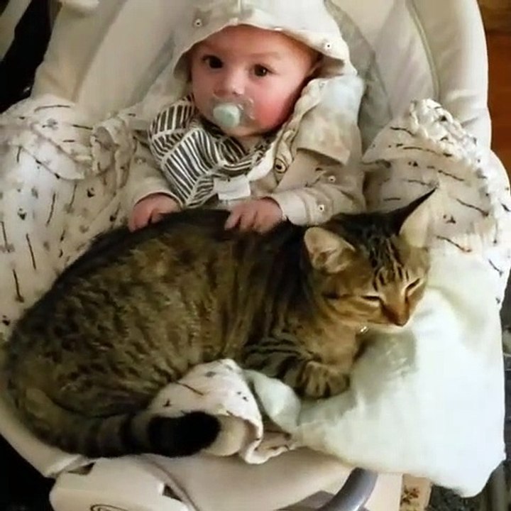 Le paradis ! Le magnifique portrait du jour... Quand un chat fait la sieste dans les bras d'un bébé ...