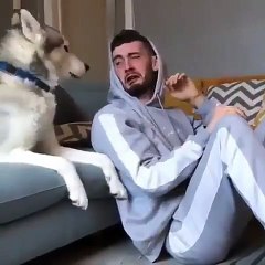 Son maître fait semblant de pleurer ... Regardez la touchante réaction du chien 