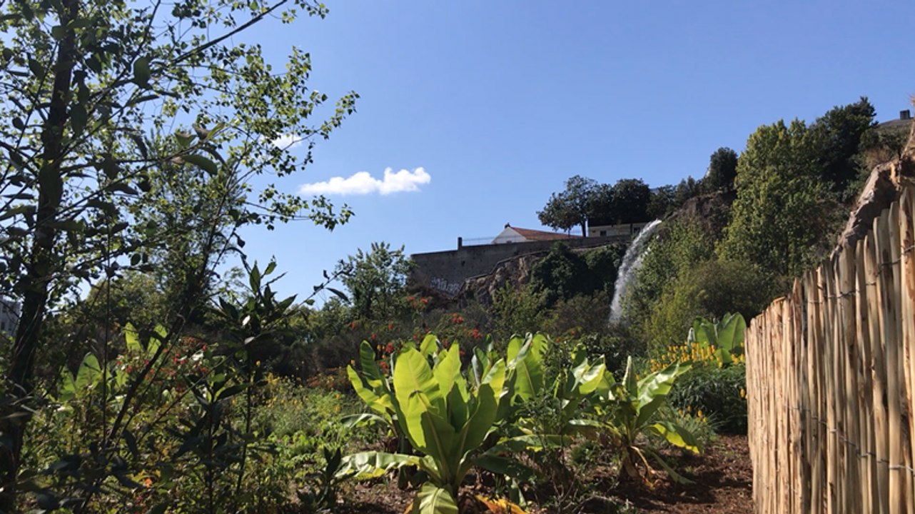 La cascade de 25 m du jardin extraordinaire