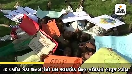16 વર્ષીય ગ્રેટા થનબર્ગએ UNમાં ભાવુક સ્પીચ આપી, કહ્યુ, તમે મારું બાળપણ અને સપના છીનવી લીધા