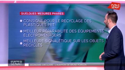 Economie circulaire : l'audition de Brune Poirson - Les matins du Sénat (24/09/2019)