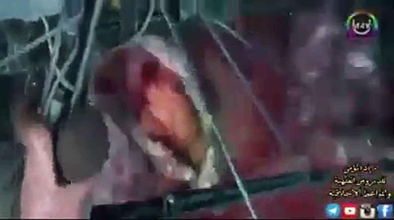 Segeralah Bertaubat sebelum terlambat.