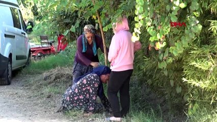 Antalya engelli kadın evinde bıçaklanarak öldürüldü -