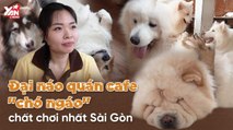 SAY ĐẮM CÙNG QUÁN CÀ PHÊ ''BOSS NGÁO'' CHẤT CHƠI NHẤT Ở SÀI GON-YANNEWS