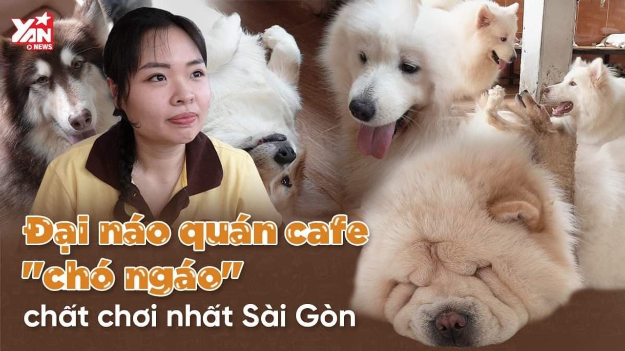 SAY ĐẮM CÙNG QUÁN CÀ PHÊ ''BOSS NGÁO'' CHẤT CHƠI NHẤT Ở SÀI GON-YANNEWS