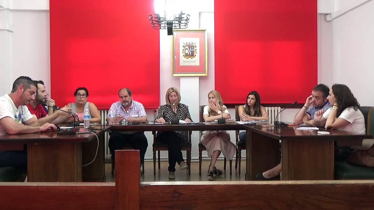 Pleno 02-07-2019