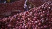 Onion Price Hike | தொட்டாலே சுடும் வெங்காயத்தின் விலை