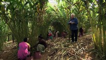 Madurai and Kerala - Rick Stein's India (Food and Travel Documentary)