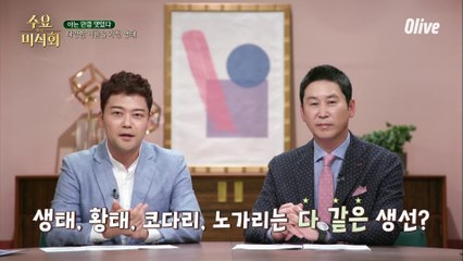 생태, 황태, 코다리, 노가리는 다 같은 생선?? (ft. 뇌요미의 구분법)