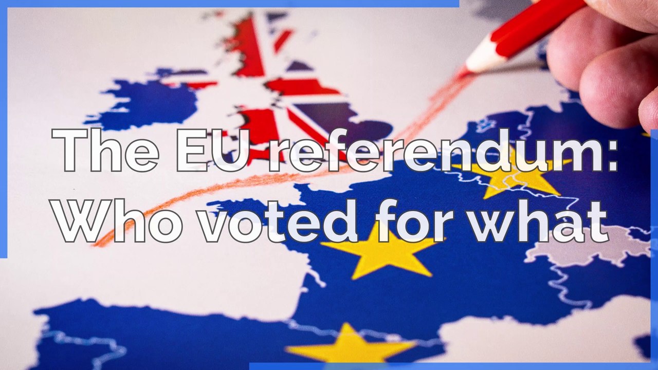 Brexit - The EU referendum: Who voted for what