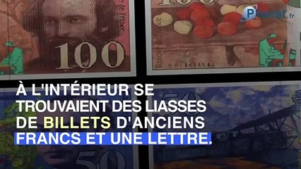 Côtes-d'Armor : L'incroyable histoire du trésor de l'arbre de Calanhe