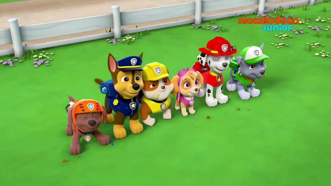 Paw Patrol : la Pat'Patrouille | Atterrissage Aveugle | NICKELODEON JUNIOR