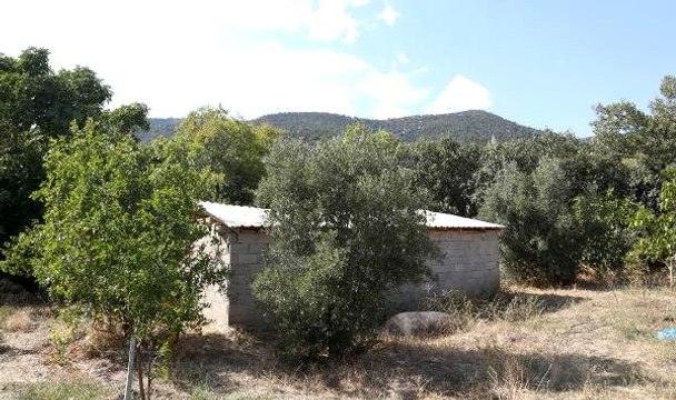 Tarihi eser bulmak için evinin bahçesinde 33 metre tünel kazdı