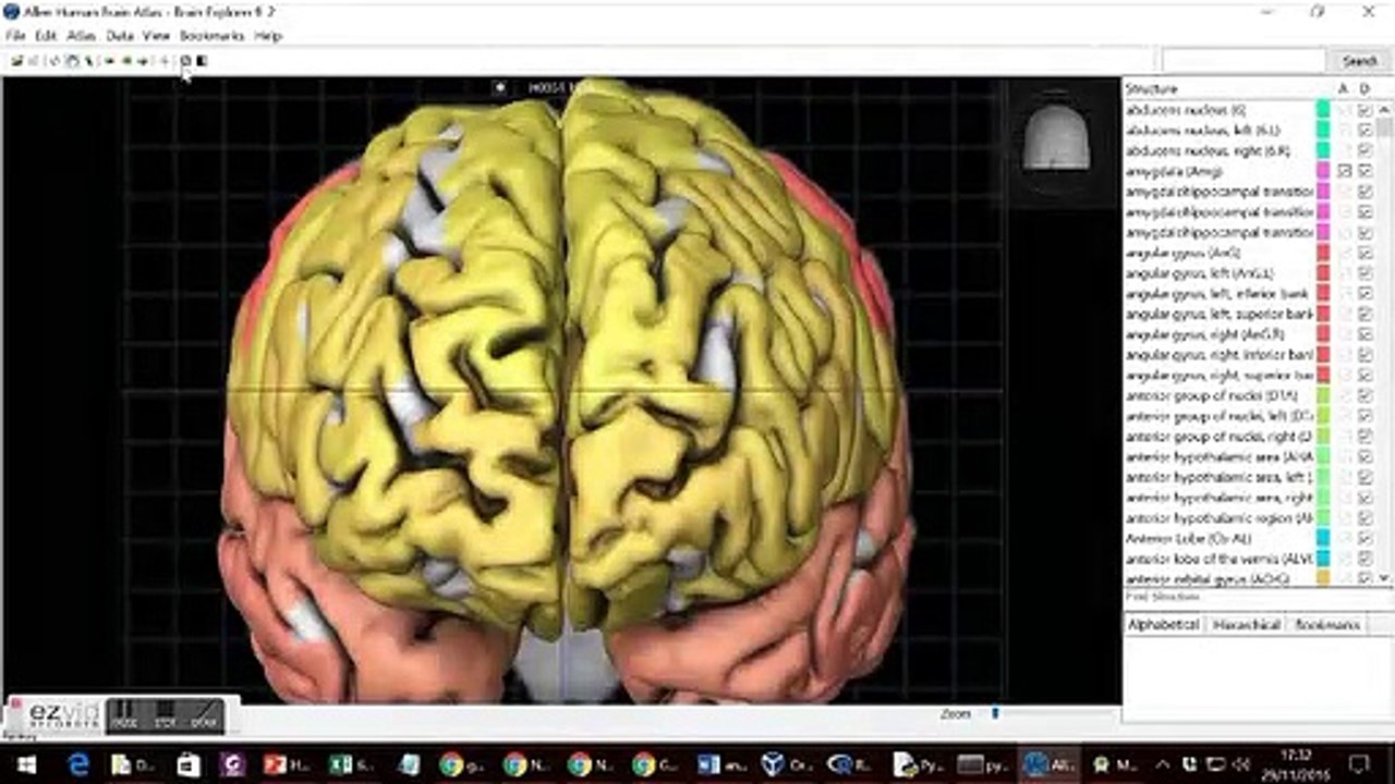Brief Examples of Computational Modelling & Programming Software used in Biosciences/Neurosciences