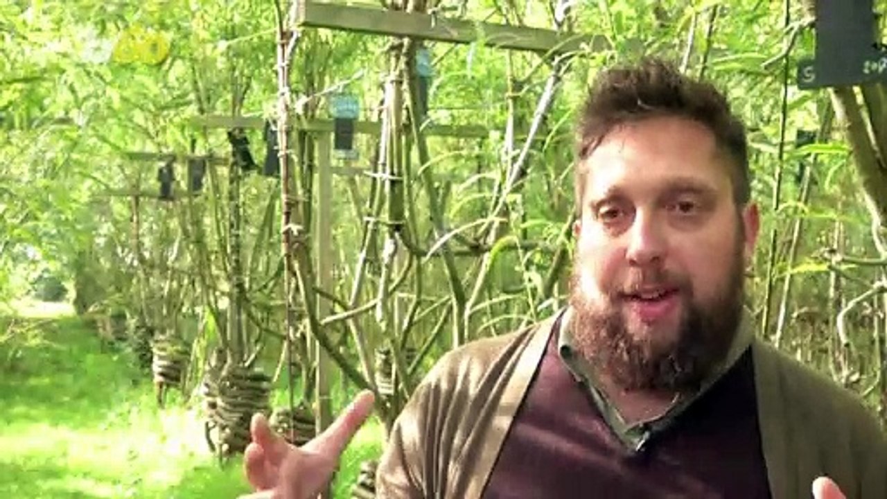 Whole Chairs & Tables Grow on Trees at This Remarkable ‘Furniture Farm’