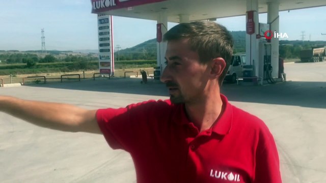 Aç kalan yaban domuzu akaryakıt istasyonuna girdi