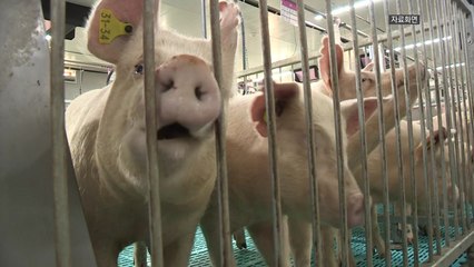 인천 강화도 확진...5번째 발생 / YTN