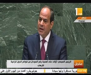 السيسي يطالب مؤسسات التمويل الدولية والإقليمية بتمويل التنمية بأفريقيا