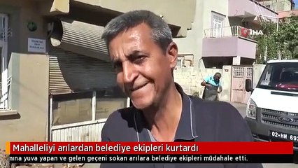 Mahalleliyi arılardan belediye ekipleri kurtardı