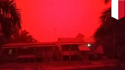 Indonesia haze turns sky blood-red