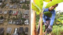 Small Farmers Are Rebuilding a Self-Sufficient Puerto Rico After Hurricane Maria