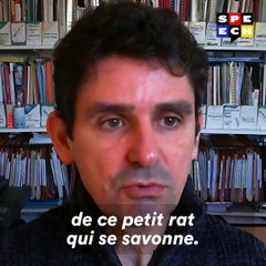 Fake ou réalité ? On a mené l'enquête sur le petit rat qui se nettoie comme un humain.