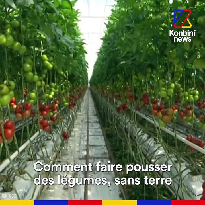 La vie sur Mars commence dans le désert d'Oman,...