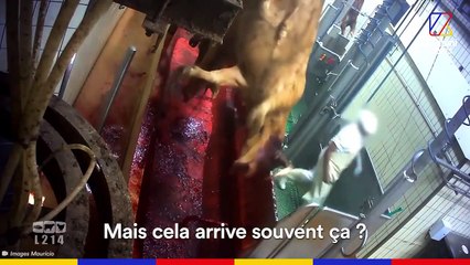 Mauricio, ancien ouvrier d'abattoir