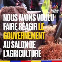 Doit-on interdire les élevages d'animaux à fourrure ?