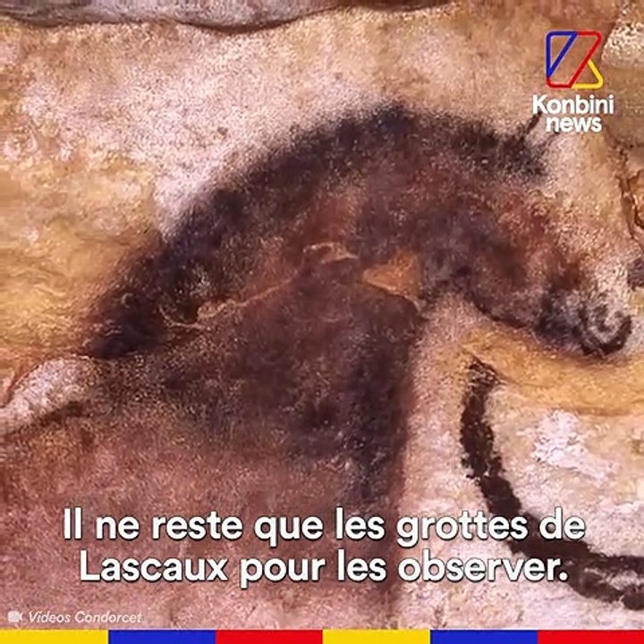 Disparition des chevaux sauvages