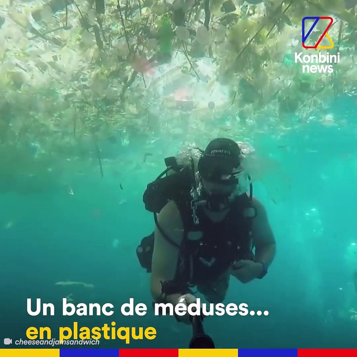 Au large de Bali, un océan de plastique