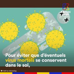 Ici, vous n'avez pas le droit de mourir