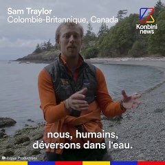 Canada : les orques résidentes du Sud au bord de l'extinction