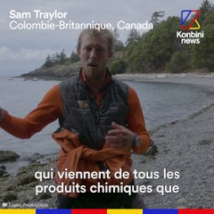 Canada : les orques résidentes du Sud au bord de l'extinction