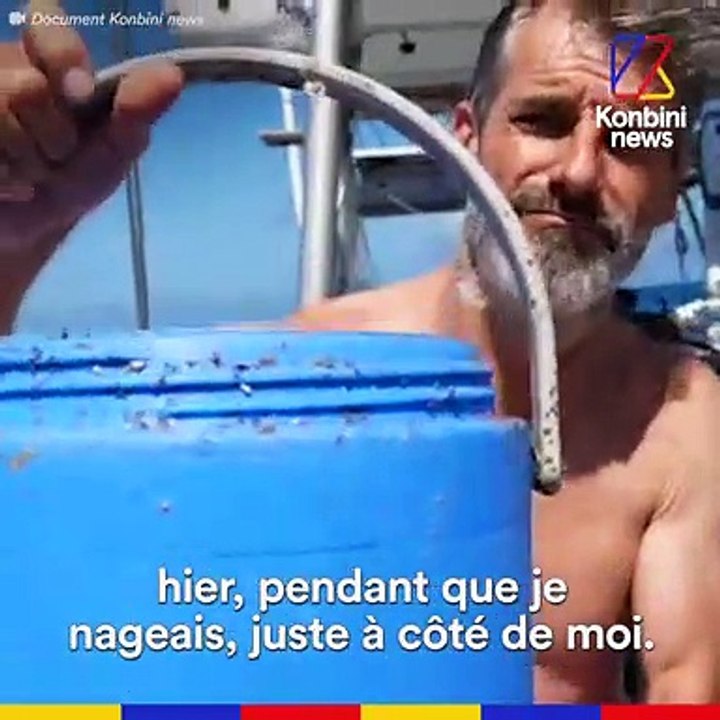 Benoît Lecomte traverse l'océan Pacifique... À LA NAGE