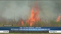 Lahan Terbakar, Jalan Lintas Timur Sumatera Terganggu