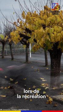 La santé des habitants d'un petit village menacée par 185 000 poules