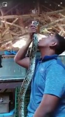 Il s'amuse avec son gros serpent serpent mais va vite le regretter
