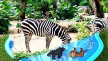 Learn Colors with Zoo Wild Animals on Water Slide Surprise Egg Toys for Kids Children