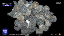 [뉴스터치] 금속 탐지기로 1,000년 전 은화 무더기 발견