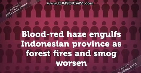 BLOOD RED HAZE IN INDONESIA