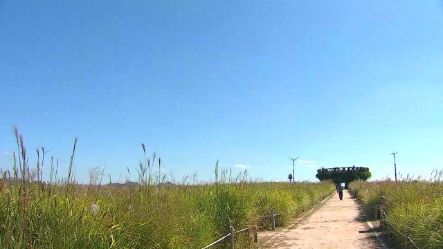 [날씨] 쾌청한 가을 하늘, 큰 일교차...강한 자외선 / YTN