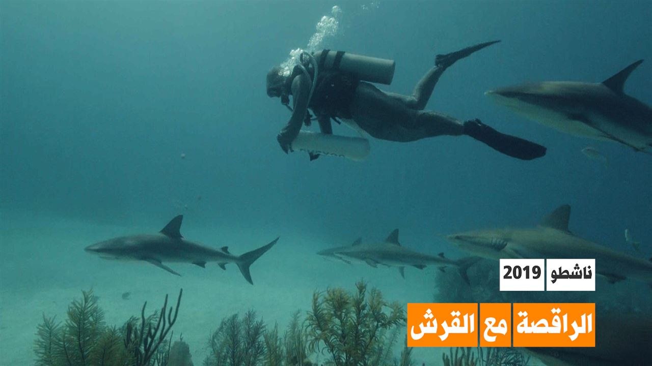 الراقصة مع أسماك القرش