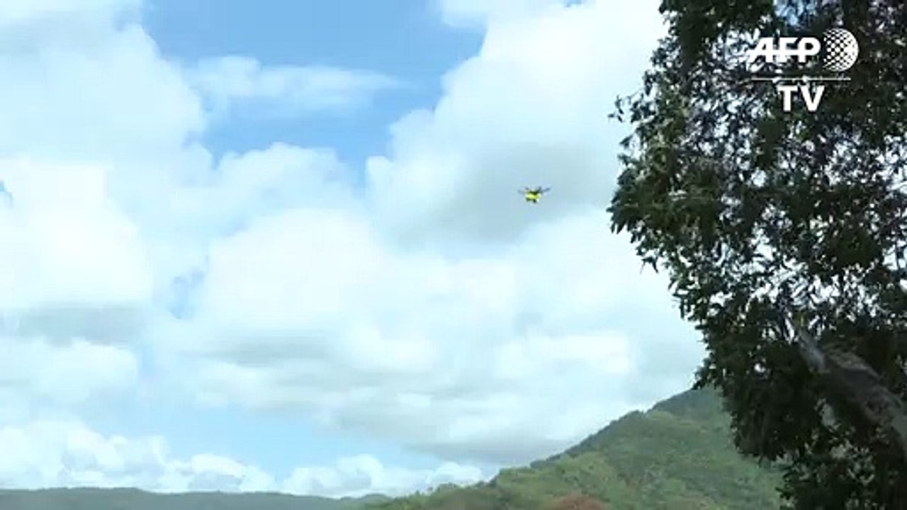 Drohne spürt in Australien Krokodile auf