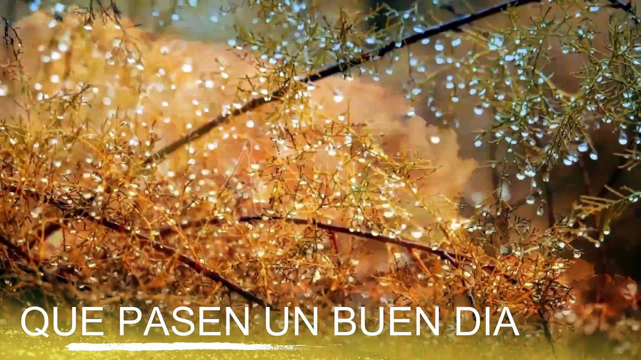 Conoce El Tiempo de Hoy Miércoles 25 de Septiembre de 2019