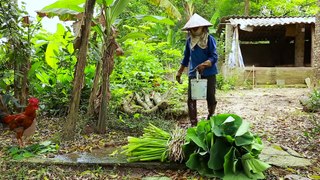 Sweet potatoes miss the unforgettable country flavor