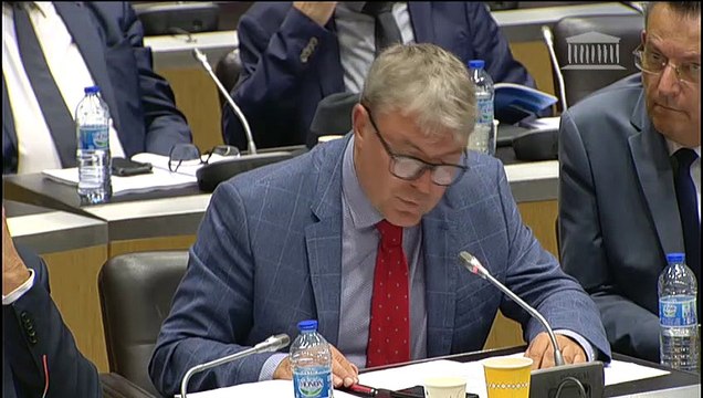 Commission des affaires étrangères : Lutte contre les montages fiscaux transfrontaliers - Mardi 24 septembre 2019