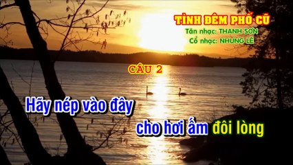 TÌNH ĐÊM PHỐ CŨ Tân Cổ Dây kép - Nhạc- Thanh Sơn - Vọng cổ- Nhung Lê