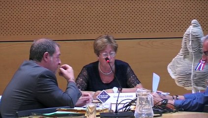 Vidéo du Conseil municipal du 23 septembre 2019