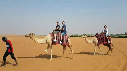 Enjoy Camel Safari Dubai with your Family